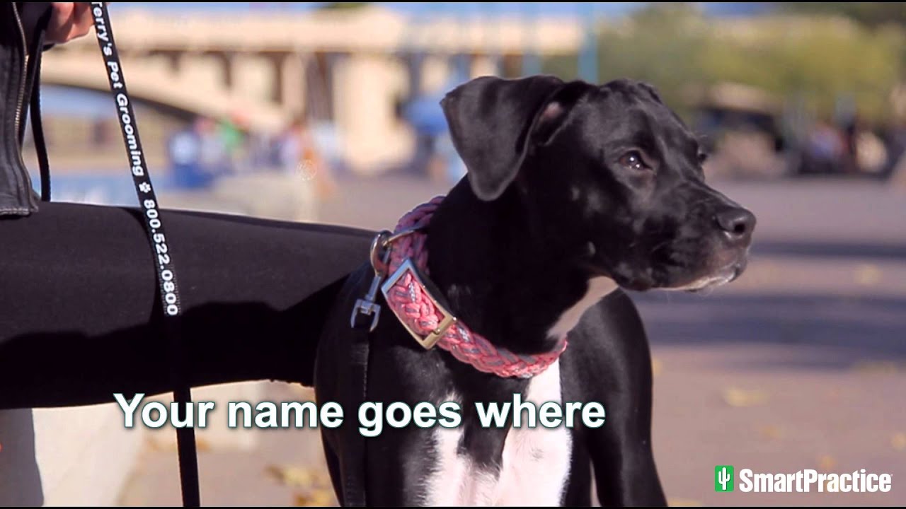 Snap-Bolt Leashes from SmartPractice