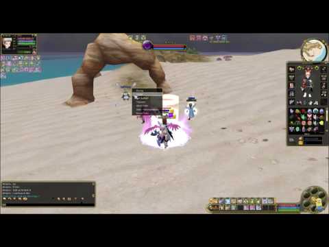 Let´s Play Insanity Flyff E012 - Etwas aus der Übung