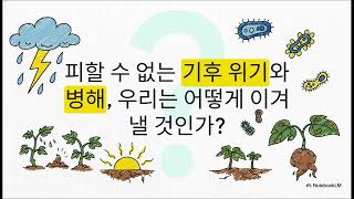 명품 마 재배법  다조아 완벽 가이드. 다조아 제품 구입 및 상담 자연과콩 고객센터 010-6570-2044…