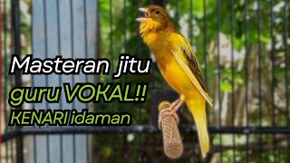 Download lagu KENARI GACOR DURASI PANJANG Cuit CUIT BIRAHI UNTUK PANCINGAN & MASTERAN Kenari PAUD AGAR BUNYI mp3 Download lagu KENARI GACOR DURASI PANJANG Cuit CUIT BIRAHI UNTUK PANCINGAN & MASTERAN Kenari PAUD AGAR BUNYI mp3