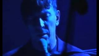 John cale  Antártida (1995) - Manuel Huerga