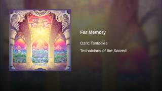 Far Memory