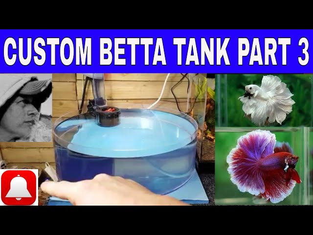 CUSTOM BETTA TANK PART 3