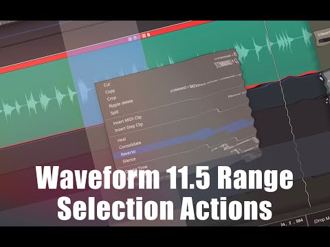 Waveform Mastery For The Busy Professional