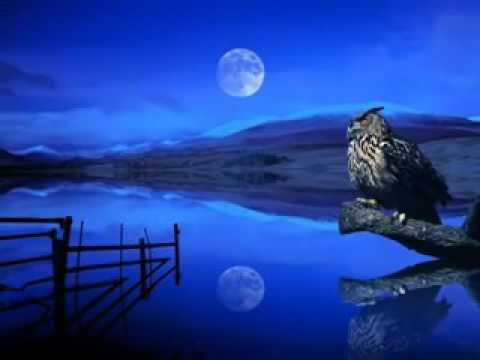 Jason Mraz  ¬ Bella Luna