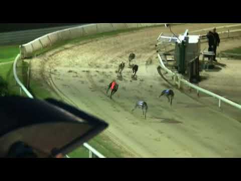 2017 WILLIAM HILL PETERBOROUGH DERBY - 3RD SEMI - T6 ANGRY MAN
