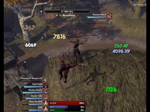 ESO Stam NB PvP #5