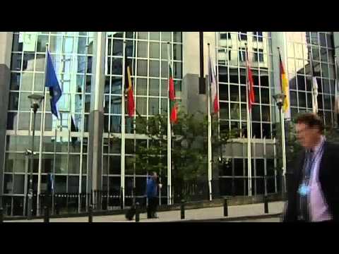 111029 OPASNOST OD VEHABIJA - PRILOG TV VIJESTI