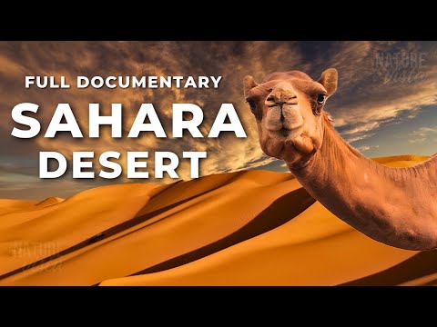 SAHARA DESERT | A Land of Extremes - Full Documentary