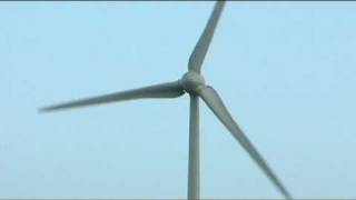 Northamptonshire - Let yourself grow