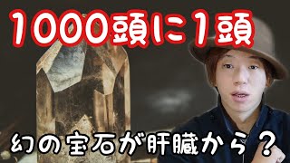 牛のレバーから取れる幻の宝石とは!?元屠殺マンしか知らない事晒します