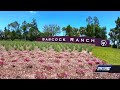 A Brand New Florida Town Built For The Future