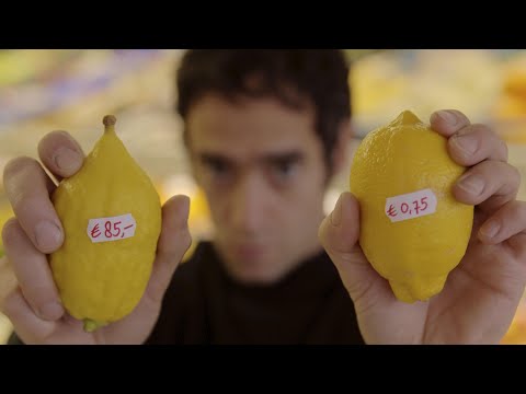 The Kosher Dilemma - Etrog (pt 1)