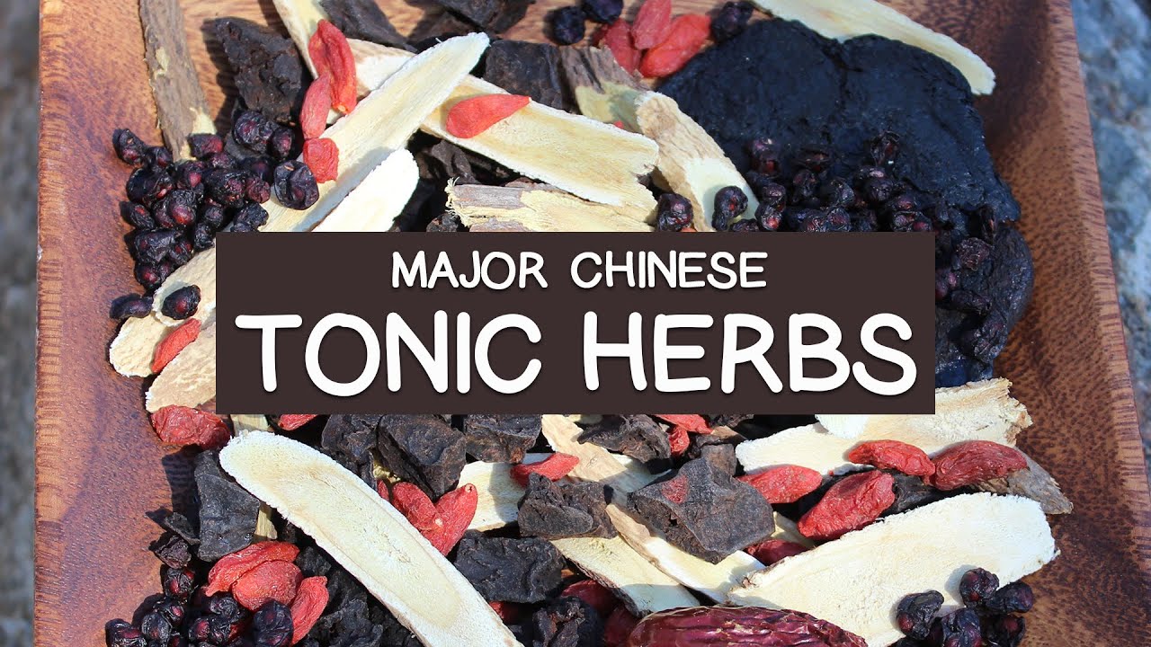 Major Chinese Tonic Herbs - List of Top 10 - YouTube