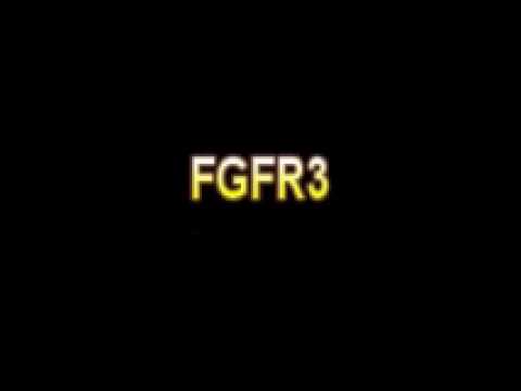 What Is The Definition Of FGFR3 - Medical Dictionary Free Online