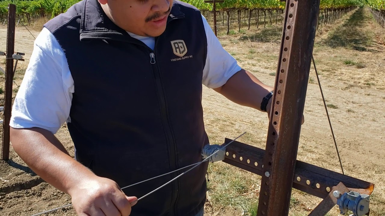 How to install a Wire Vise in the vineyard