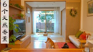 6 Natural Aromatherapy Tips to Make Your Home Fresher and Cozier 🏡