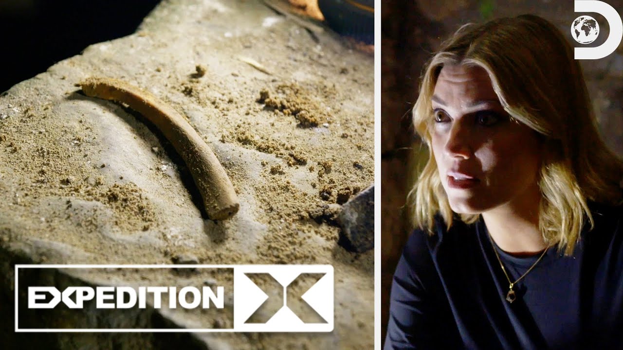 YouTube Thumbnail Downloader FULL HQ IMAGE