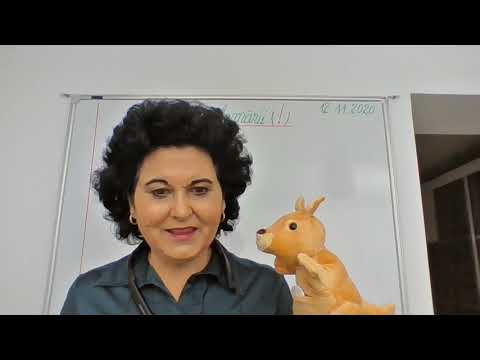 087,  Lectii online, CLR, clasa a II-a, a III-a, a IV-a - Semnul exclamarii