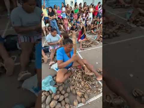 Governador Archer (MA) que acontece o maior Concurso de Quebradeiras de Coco Babaçu do estado.