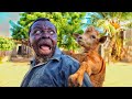 KINGWENDU AMUOGOPA MARIAM KAGEUKA MBUZI UTACHEKA SANA HII
