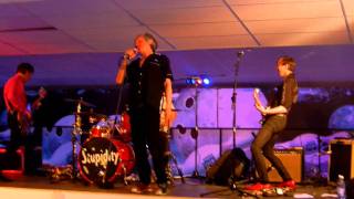 The Fleshtones--Remember The Ramones