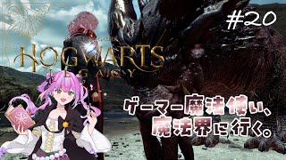 【ホグワーツ・レガシー】ゲーマー魔法使い、魔法界に行く。