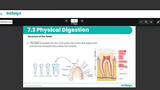 Physical digestion.
