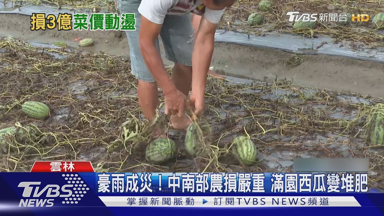 豪雨成災!中南部農損嚴重 辛苦種水果變堆肥