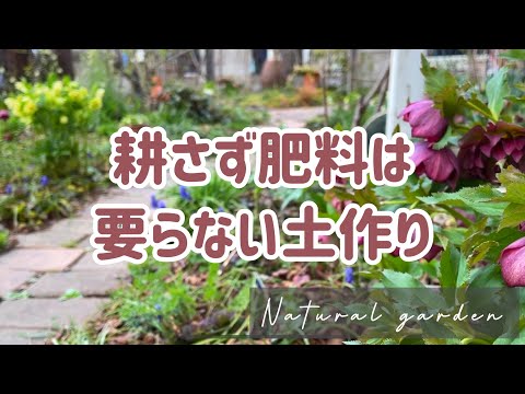 園芸 自然を庭に招き入れる