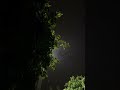 Sun Saathiya Slowed Reverb Mansoon Status Shorts Youtubeshorts Sunsathiya Mansoon