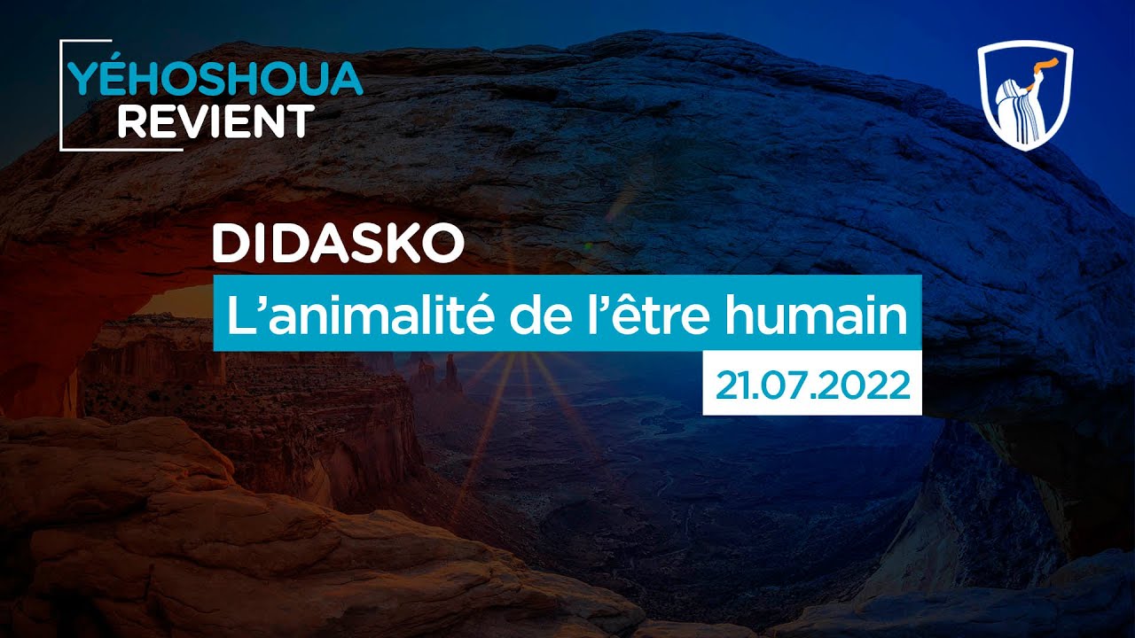 Thumbnail of video: L’animalité de l’être humain