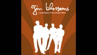 Gin Blossoms - Learning the Hard Way (acoustic)