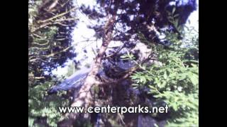 preview picture of video 'Center Parcs - 86 - Gite bretagne piscine et SPA , le gite Keroure et son Parc'