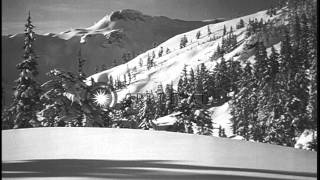 Soldiers skiing on a snow covered area and arrive near a house in the United Stat...HD Stock Footage