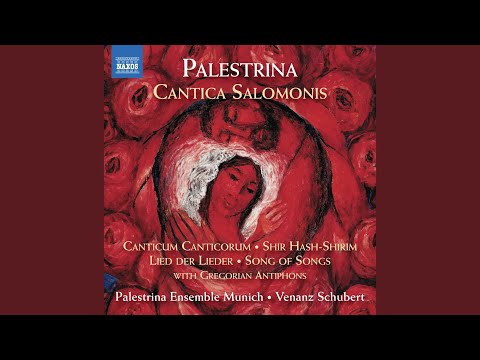 Antiphon: Veni de Libano, sponsa mea - Vulnerasti cor meum