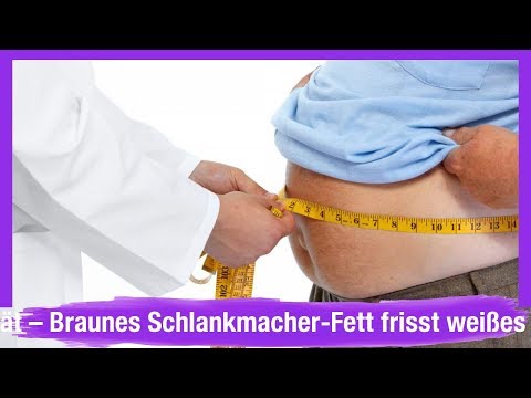 Blutzucker nach dem Training Erbsensuppe für Diabetiker