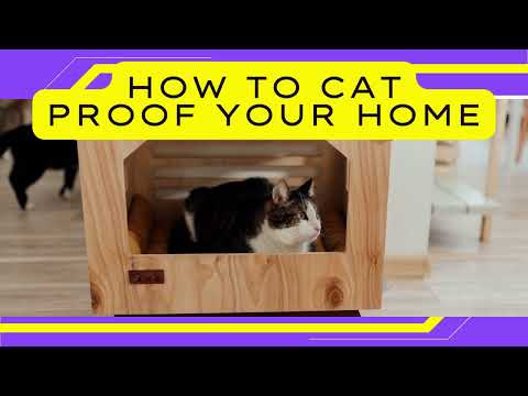 How To Make Your Home Cat Proof