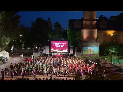 商学科 小樽商科大学"翔楽舞" 2019年「四獣奏」 YOSAKOIソーラン祭り サッポロガーデンパーク会場