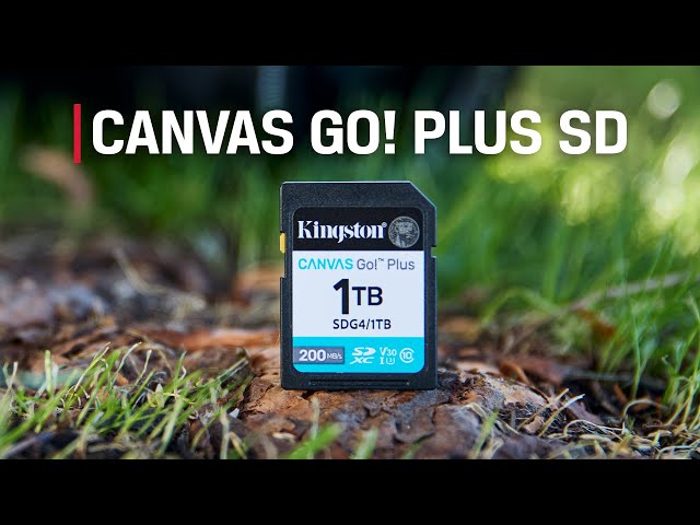 Vídeo relacionado con Kingston Technology Canvas Go! Plus Memoria Flash 128 GB MicroSD Clase 10 UHS-I, Multicolor