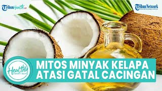 Bisakah Minyak Kelapa Atasi Rasa Gatal akibat Cacingan? Simak Ulasan Berikut