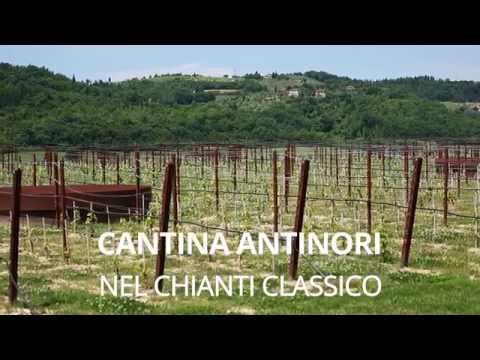 Blog Tour #melodia2014