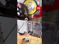 Souvenir Penny Machine @ THE THING MUSEUM