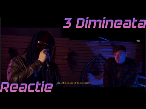 Usor neobisnuit | MARKO GLASS x RENVTØ - " 3 Dimineata " (Official Video Session) | REACTIE