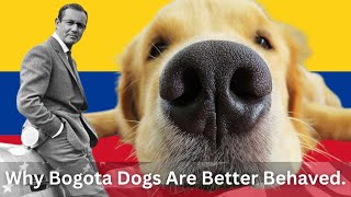 Why Bogota Dogs Are Better Behaved (Stories You Can Tell Your Dog Training Clients Series)