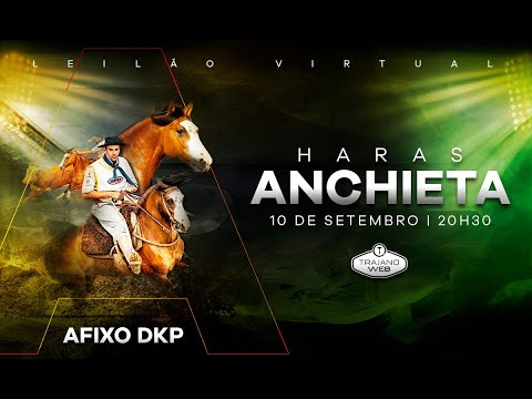 LOTE 01 - ABRAÇO DO CAMBOIM