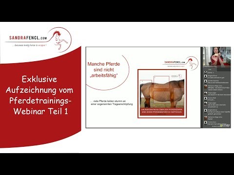 , title : '🐴 Exklusive Aufzeichnung vom Pferdetrainingswebinar Teil 1 👍'