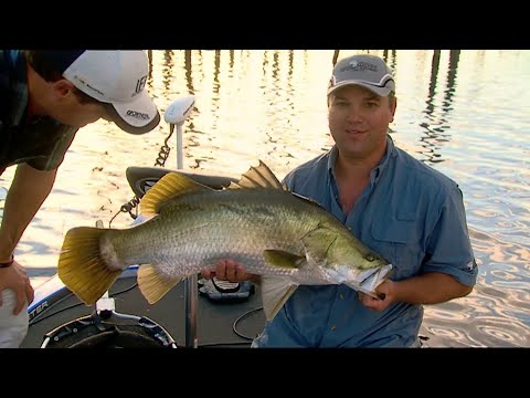 IFISH - Barra-Madness!