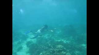 preview picture of video 'San Blas - Pêche aux crabes sous marine 1 - Vivre au Panama'