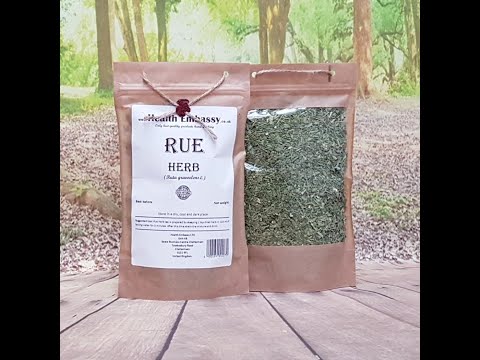 Rue Herb (Ruta graveolens L.) Health Embassy